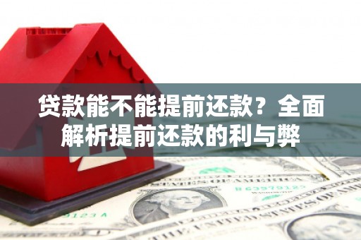 浦北贷款能不能提前还款？全面解析提前还款的利与弊