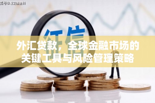 浦北外汇贷款，全球金融市场的关键工具与风险管理策略