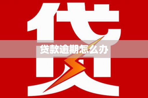 浦北贷款逾期怎么办