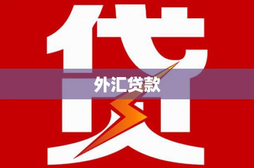 浦北外汇贷款