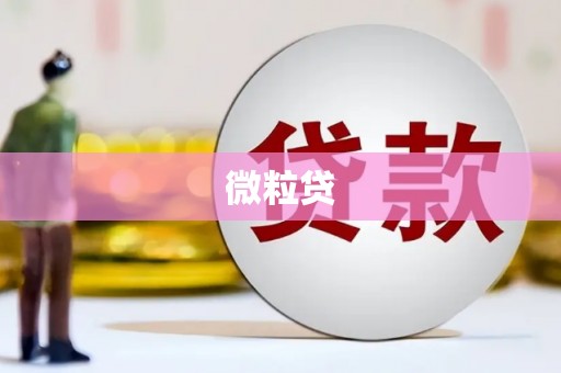 浦北微粒贷