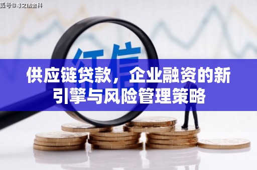 浦北供应链贷款，企业融资的新引擎与风险管理策略