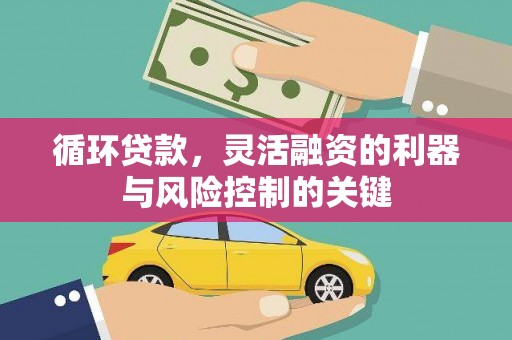 浦北循环贷款，灵活融资的利器与风险控制的关键