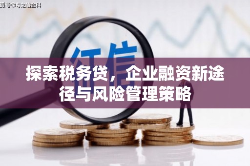 浦北探索税务贷，企业融资新途径与风险管理策略