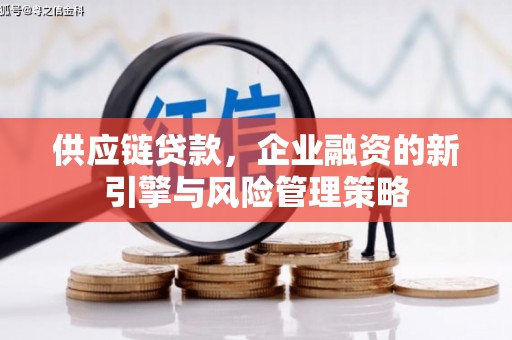 浦北供应链贷款，企业融资的新引擎与风险管理策略