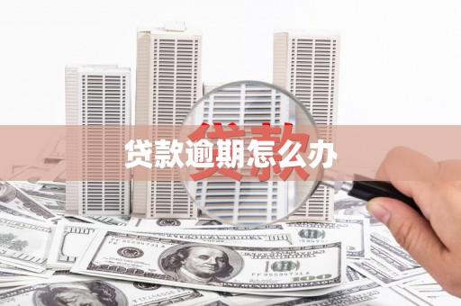 浦北贷款逾期怎么办