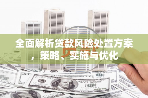 浦北全面解析贷款风险处置方案，策略、实施与优化