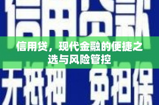 浦北信用贷，现代金融的便捷之选与风险管控