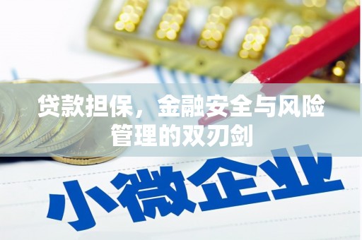 浦北贷款担保，金融安全与风险管理的双刃剑