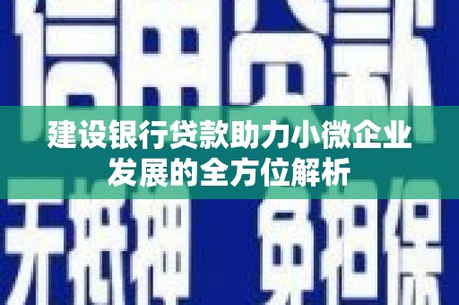 浦北建设银行贷款助力小微企业发展的全方位解析