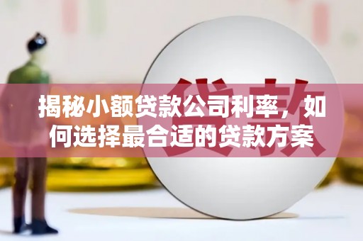 浦北揭秘小额贷款公司利率，如何选择最合适的贷款方案