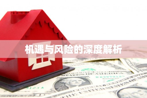 浦北机遇与风险的深度解析