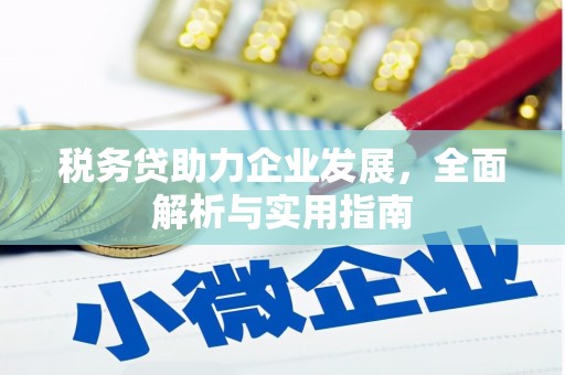浦北税务贷助力企业发展，全面解析与实用指南