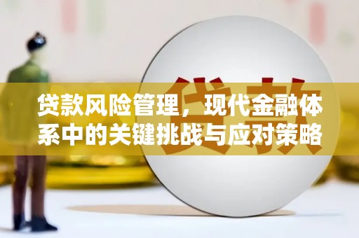 浦北贷款风险管理，现代金融体系中的关键挑战与应对策略
