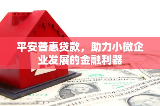 浦北平安普惠贷款，助力小微企业发展的金融利器