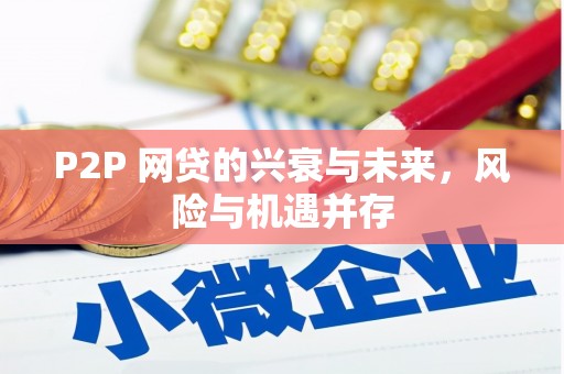 浦北P2P 网贷的兴衰与未来，风险与机遇并存