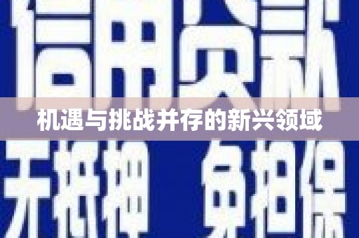 浦北机遇与挑战并存的新兴领域
